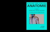 ATLAS DE POCHE ANATOMIE...Atlas de poche d’hématologie, par T. Haferlach, U. Bacher, H. Theml et H. Diem Atlas de poche de dermatologie, par M. Röcken, M. Schaller, E. Sattler