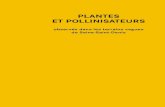 PLANTES ET POLLINISATEURS - Seine-Saint-Denis · 2019. 7. 26. · plantes assurent l’alimentation des pollinisateurs, et inver-sement, quels pollinisateurs butinent et pollinisent