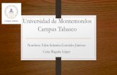 Universidad de Montemorelos Campus Tabasco · 2016. 3. 18. · Ejemplo: Producto total # unidades Q Costo fijo CF Costo variable CV Costo total CT CF+CV Costo marginal = CT/ Q Costo