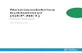 Nationellt vårdprogram för neuroendokrina buktumörer · 2019. 1. 8. · Nationellt vårdprogram Neuroendokrina buktumörer (GEP-NET) ISBN: 978-91-87587-18-4 December 2018 Versionshantering