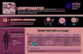 Infograma Camypylobacter - Elika · 2018. 1. 23. · Title: Infograma Camypylobacter Author: Fundación ELIKA Fundazioa Subject: Infograma Camypylobacter Keywords: Riesgo Biológico;