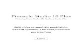 RožnovskáStřední.cz - Pinnacle Studio 10 Plusfuchs/download/studio_cz.pdf · 2007. 5. 14. · ESKY. ii Pinnacle Studio 10 Plus Zvláštní poděkování patří těmto lidem: