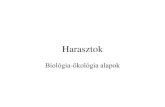 Harasztok - ELTEanzsu7.web.elte.hu/Biolokolalapok/5Harasztok.pdfHarasztok a múltban •Zöldmoszatokból, a fejlődés fő ágába tartoznak •A földtörténeti múltban (karbon)
