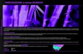 INTRODUZIONE AI SISTEMI BAMBOO · 2013. 1. 16. · PORTADEPLIANT VIRO BAMBOO VIRO-DHB ESPOSITORI IN BAMBOO Portadepliant Portadepliant in bamboo composto da una base a forma di staffa,