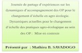 Présenté par : Mathieu B. SAVADOGO · 2020. 9. 23. · I. Bref aperçu sur l’évolution du système de vulgarisation agricole au Burkina-Faso (2/3) - La période 1980 –1990