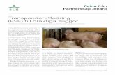 Transponderutfodring (ESF) till dräktiga suggorpub.epsilon.slu.se/3780/1/olssoon_e_al_090612.pdf · 2011. 3. 25. · Fakulteten för landskapsplanering, trädgårds- och jordbruksvetenskap