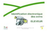 Identification électronique des ovins ELEVEUR · 2017. 1. 9. · Identification électronique des ovins IOC 2010 – Support à destination des éleveurs ovins CR n° 00 10 78 009