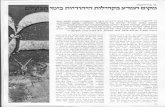 University of Haifahcc.haifa.ac.il/~hos/freudenthal-zmanim.pdf · 2006. 12. 28. · nayn" rpvn¥ nrw:v — Þ1rpnn nnnn»nn 9V 9V Yv nnvrtö : "V ,ö'ölnn v' V' ,nn-tnx -p 'Yv-'nnzy