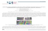 GROUND DISPLACEMENT AND BUILDING DAMAGE ESTIMATION … · Keywords: Seismic displacement, Kermanshah earthquake, Sentinel-1, ALOS-2, InSAR We used two synthetic aperture radar (SAR)