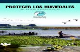 PROTEGER LOS HUMEDALES - SEO/BirdLife · 2018. 5. 4. ·  Protegerloshumedales-UNARESPUESTAALCAMBIOCLIMÁTICO3 SERVICIOS QUE APORTAN LOS HUMEDALES ...
