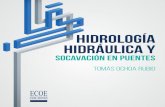 HIDROLOGÍA HIDRÁULICA Y · 2020. 7. 24. · La forma de la sección transversal y la resistencia hidráulica (rugosidad) son factores que definen la capacidad hidráulica del cauce,