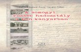 A somogyi rosseb hadosztály a Don-kanyarbanadamobooks.com/files/demo/2899/... · 2016. 4. 12. · A SOMOGYI ROSSEB HADOSZTÁLY A DON-KANYARBAN Hadiokmányok, harctéri naplók, tábori