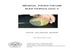 MODUL PRAKTIKUM BAKTERIOLOGI 2repository.um-surabaya.ac.id/4801/1/MODUL_BAKTERIOLOGI_2.pdf · 2020. 11. 6. · Petunjuk Praktikum Instrumentasi Mikro Laboratorium Mikrobiologi Prodi