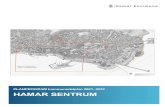 HAMAR SENTRUM · 2020. 2. 3. · Hamar sentrum – Kommunedelplan 2021-2032 Planprogram nye utviklingsrammer for sentrum oppleves å haste, uavhengig av spørsmålet om plassering