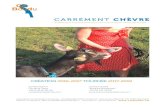 CARRÉMENT CHÈVRE - CieBoudu · CARRÉMENT CHÈVRE fantaisie yéyé-impressionniste de la chèvre de M.Seguin d’Alphonse Daudet CRÉATION2016-2017 TOURNÉE 2017-2019 Association