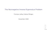The Nonnegative Inverse Eigenvalue Problem · 2009. 1. 15. · The Symmetric Nonnegative Inverse Eigenvalue Problem (SNIEP): Find necessary and sufﬁcient conditions on a list of