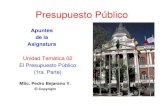 Presupuesto Públicos69071cbe34067299.jimcontent.com/download/version... · 2012. 10. 9. · El Sistema Presupuestario en Bolivia as Década del 90 Se aprueba la Ley Nº 1178 de Sistemas