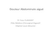 Douleur Abdominale aiguë - Freedcem1p7.free.fr/Hepato-gastro/Douleur abdominale aigue.pdf · 2008. 10. 15. · • Aspect de l’abdomen – Distendu – Mobile – Ondulations –