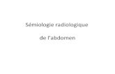 Sémiologie radiologique de l’abdomendcem1p7.free.fr/Hepato-gastro/SémioD12007.pdf · 2008. 10. 15. · Abdomen sans préparation • ASP après ingestion de produit de contraste