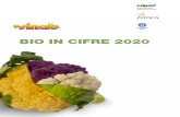 BIO IN CIFRE 2020 IN CIFRE 2020... · 2020. 10. 1. · 6. BIO IN CIFRE 2020. L’ agricoltura biologica in Italia, al 31 dicem - bre 2019, si caratterizza per una superficie col -