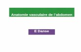 Anatomie vasculaire de l’abdomenuclimaging.be/ecampus/etu_med/bac3_00/b3_2020_vasculari...Anatomie vasculaire de l’abdomen E Danse Plan • Anatomie de base • tronc coeliaque
