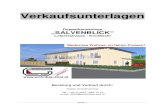 Doppelhausanlage SALVENBLICK · 2012. 6. 21. · Streifen- oder Plattenfundamente lt. stat. Erfordernis Kelleraussenwände: Stahlbetonwände Außenwände in den Wohnbereichen: Ober