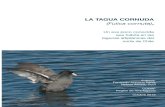 LA TAGUA CORNUDA - EcolymaLa Tagua cornuda (Figura 1), tiene el cuerpo rechoncho, de color uniforme negruzco en ambos sexos, con la cabeza, cuello y hasta la espalda algo más oscura,