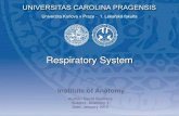Prezentace aplikace PowerPoint - Univerzita Karlova · - external nose - nasal cavity & paranasal sinuses - pharynx • Lower respiratory tract: - larynx - trachea (windpipe) - bronchi