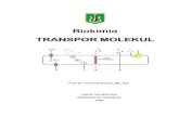 Biokimia TRANSPOR MOLEKULrepository.unas.ac.id/1545/1/Lamp. A32-Diktat-Biokimia...5 Karena sifat membran plasma yang tersusun oleh struktur “lipid-bilayer”, maka jalur transpor