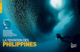 PHILIPPINES · 2019. 6. 9. · 90 PLONGÉE MAGAZINE ASIE PHILIPPINES PLONGÉE MAGAZINE 91 ASIE PHILIPPINES AVALANCHE d'ANCHOIS Même son de cloche à Cebu, l'île principale des Visayas
