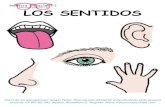LOS SENTIDOS - Maestra Especial PT · 2016. 3. 1. · NUESTROS SENTIDOS •Gracias a los 5 sentidos podemos saber como son las personas, animales o cosas. Con la vista conocemos la