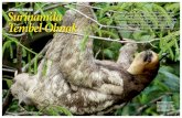 YAĞMUR ORMANI Surinam’da Güney Amerika’da bir ülke ...cagan/2009 Mart Atlas Surinam.pdf · 56 ATLAS MART 2009 2009 MART ATLAS 57 dünya tropik orman kuşlarının durumu-nu