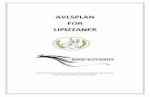 AVLSPLAN FOR LIPIZZANERnhest.custompublish.com/.../Lipizzaner+220111.pdf · 2021. 1. 21. · Avlsmål for lipizzaner Målsetningen med avlsarbeidet på lipizzaner er å avle en rasetypisk
