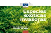 Especies exóticas invasoras...| 7 El imparable ascenso de las especies exóticas invasoras en Europa Aunque, desde hace siglos, entran especies exóticas en Europa, las cifras han
