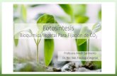 Fotosíntesis Bioquímica Vegetal Para Fijación de CO2 · 2019. 11. 11. · Principios Generales Tradicionalmente, se ha dividido la fotosíntesis en dos fases, fase luminosa y fase