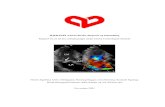 HJERTEKLAPSYGDOM, diagnose og behandling - Cardio · 2018. 5. 28. · Hb, S-kreatinin Arbejds-EKG hos asymptomatiske patienter . 6 kan forklare den reducerede ventrikelfunktion. Koronararteriografi
