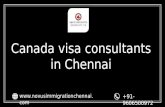 ICCRC Registered Consultants in Chennai