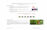 Guía para padres para The Red-eyed Tree Frog Nivel de lectura – 4 · 2020. 9. 14. · 1 (925) 485-3080 sales@amenglish.com Guía para padres para The Red-eyed Tree Frog Nivel de