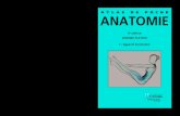 ATLAS DE POCHE ANATOMIE · 2017. 10. 28. · 1 † Appareil locomoteur W. PLATZER L’Atlas de poche d’anatomie en trois volumes de Platzer, Kahle, Frotscher, Fritsch et Kühnel