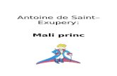 Prvi šolski portal | Dijaški.net · Web viewMali princ (francosko Le Petit Prince) je najbolj znano delo francoskega pisatelja in pilota Antoinea de Saint-Exupérya. Napisal jo