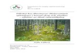 Tillväxt hos Husmossa (Hylocomium splendens) i boreal skog ...längd- och biomassatillväxten hos H. splendens påverkas av vattentillgång, relativ luftfuktighet och näringstillgång
