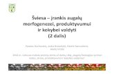 morfogenezei, produktyvumui ir kokybei valdyti (2 dalis)‘viesa /rankis augals morfogenezei, produktyvumui ir kokybei valdyti (2 dalis) Pavelas Duchovskis, Auara Brazaityt , Giedr