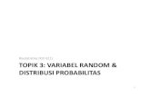 Biostatistika (KUI 611) TOPIK3:VARIABEL RANDOM & DISTRIBUSI PROBABILITAS · 2011. 10. 3. · Probabilitas vs. Statistika Permasalahan dalam probabilitas Bila diambil satu orang secara