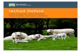 Iechyd Defaid - Home | HCC / Meat Promotion Wales...Introduction | Contents 1 Iechyd Defaid Cael y gorau o’ch diadell trwy wella iechyd y defaid Hybu Cig Cymru Meat Promotion Wales