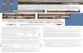 Meaker Brafords | Die geskiedkundige plaas: Draaihoek, is in die …meakerbrafords.co.za/wp-content/uploads/2014/04/NUUS... · 2014. 11. 24. · Oos Vrystaat gebruik word is Ix50kg