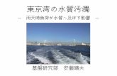 東京湾の水質汚濁...東京湾の水質汚濁 － 雨天時負荷が水質へ及ぼす影響 － 基盤研究部 安藤晴夫 本日の発表内容 ・東京湾の水環境 変遷と現状・問題点
