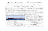News Release 国土交通省九州運輸局 - mlit.go.jp...News Release 国土交通省九州運輸局 平成19年12月11日 日本初 スーパーエコシップ白油タンカー「なでしこ丸」就航