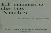 El minero de los Andes - Instituto de Estudios Peruanosrepositorio.iep.org.pe/bitstream/IEP/561/2/bonilla_elminerodelosandes.pdfsobre los mineros de los Andes peruanos. Esta investigación