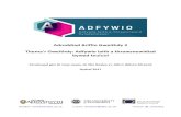 Adroddiad Briffio Gweithdy 2 Thema'r Gweithdy: Adfywio iaith a …revitalise.aber.ac.uk/en/media/non-au/revitalise/Adfywio... · 2018. 3. 22. · Adfywio: Adroddiad Briffio Gweithdy