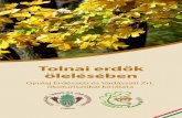 Tolnai erdők ölelésében - Dél-Dunántúli Ökoturisztikai Klaszter · 2016. 8. 4. · Indulj a szabadba! A Tamási Parkerdő a helyi lakosok és a turisták által egyaránt